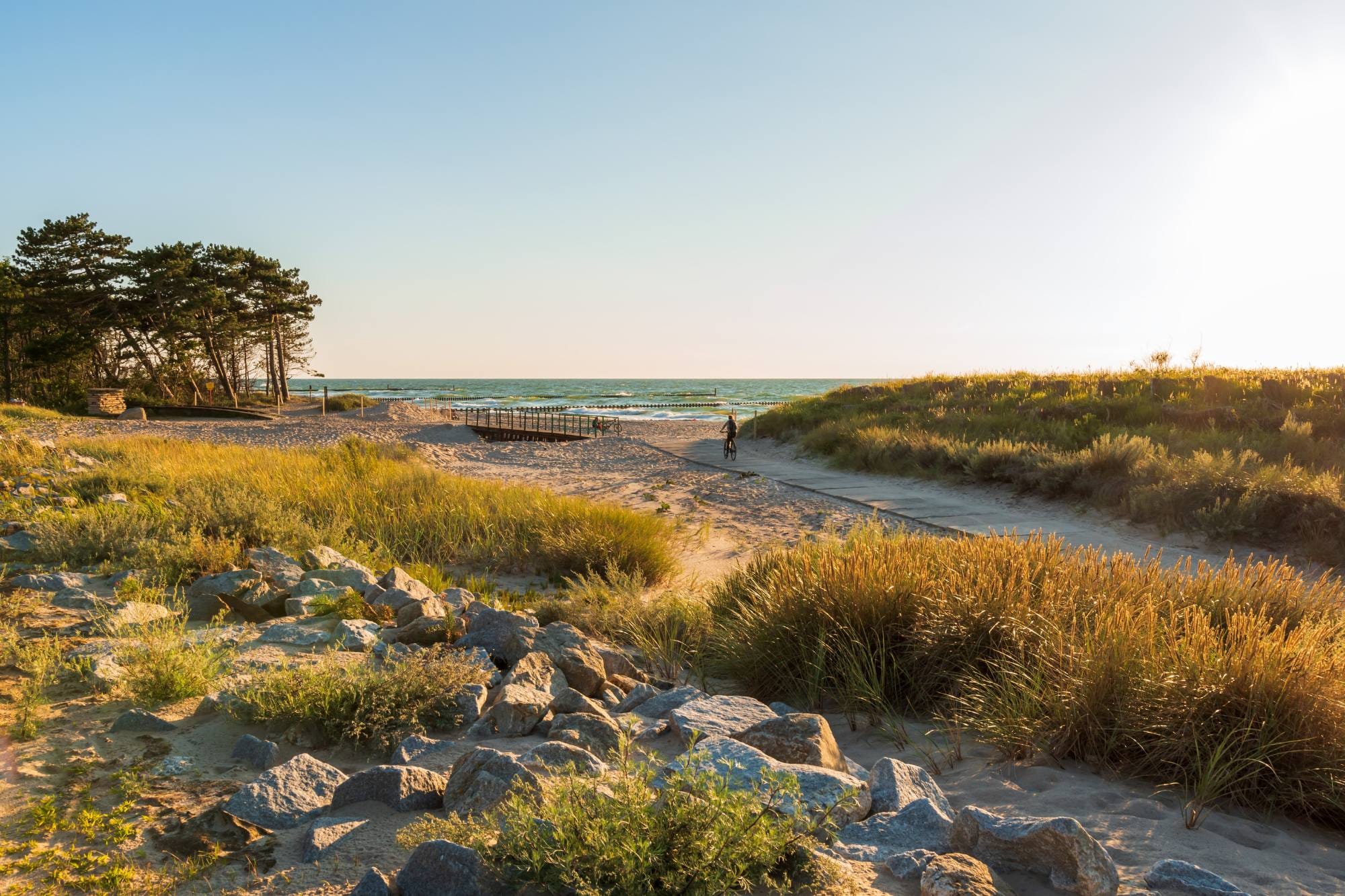 A cycling path with cyclers along a beach of the Baltic Sea.