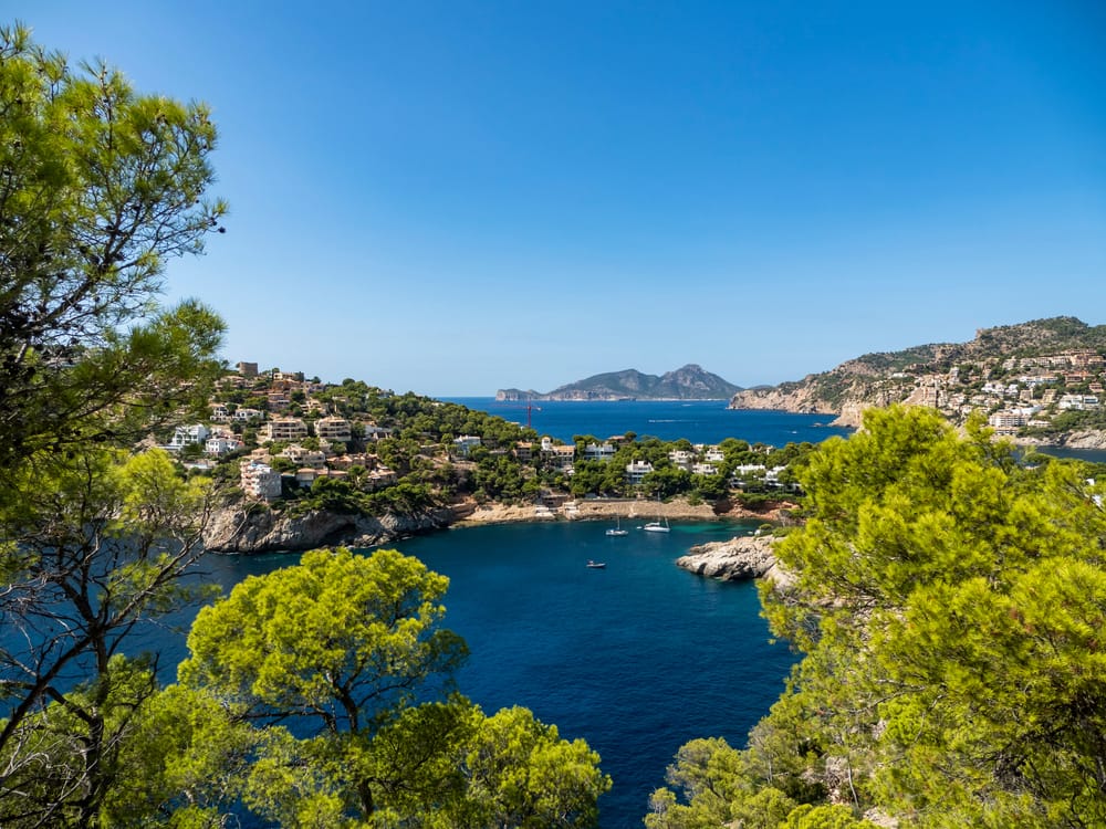 View onto Port d'Andratx and the harbour in Mallorca.