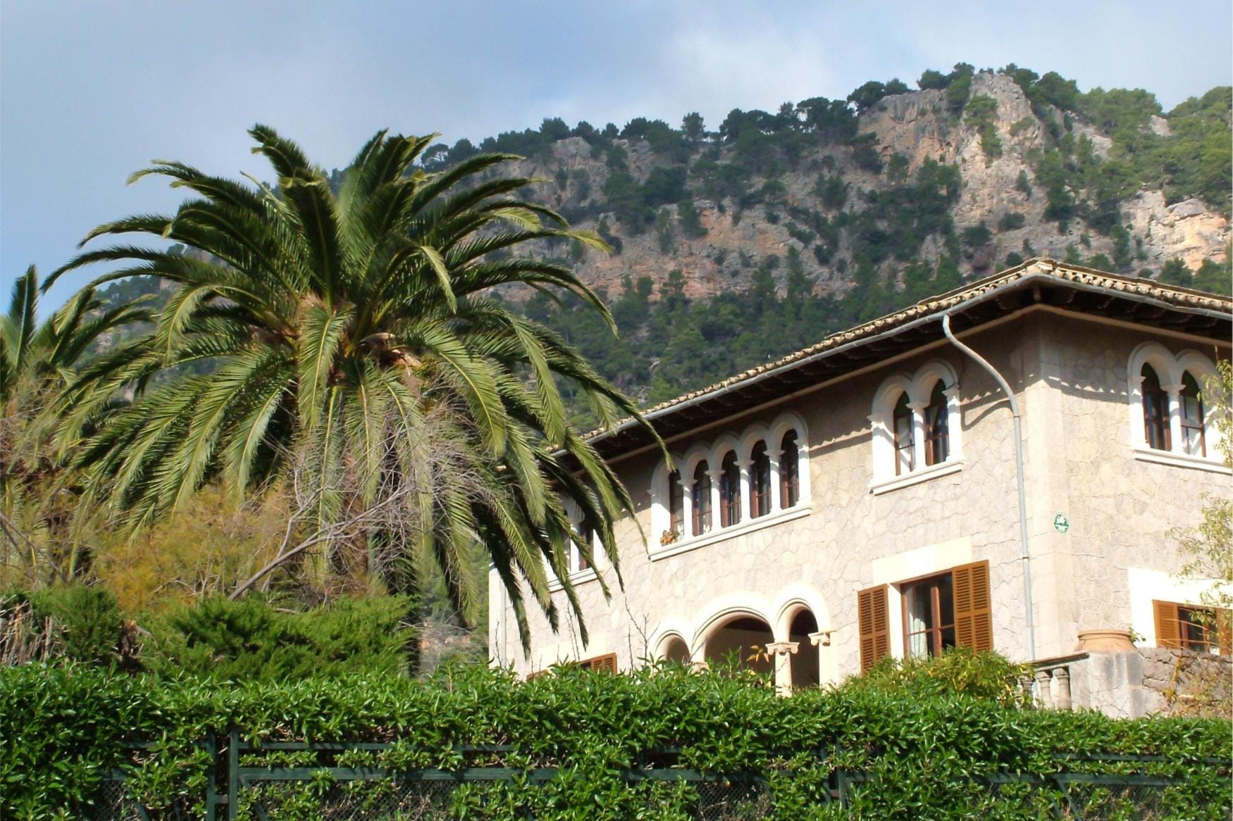 Modern finca with palm trees.