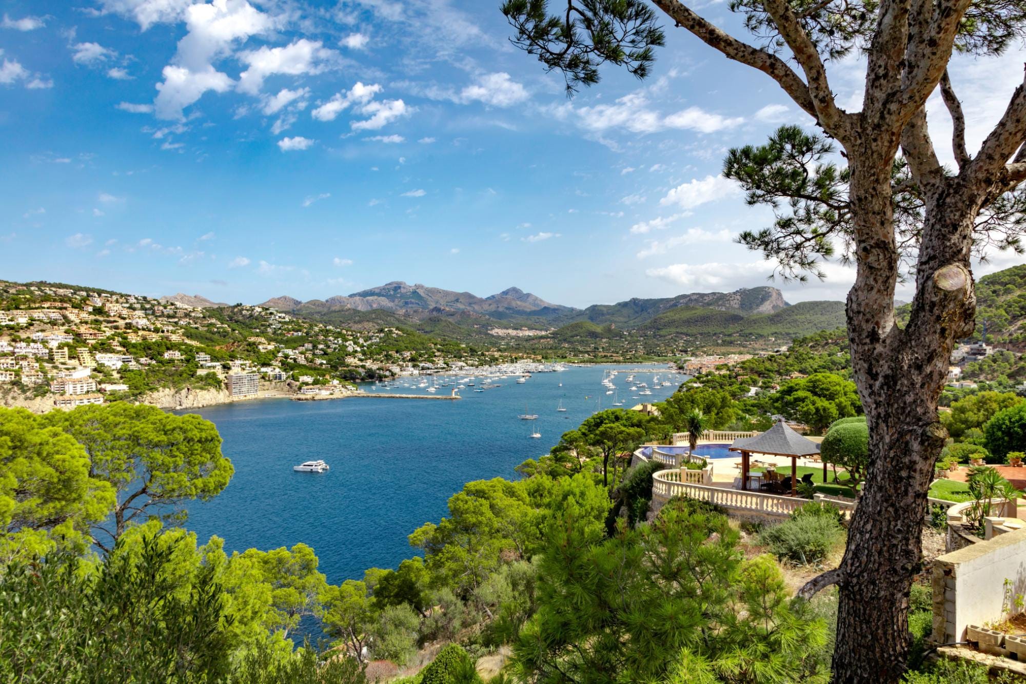 Harbour of Port d'Andratx in Mallorca.